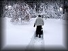 The Blizzard Of 2001 - the aftermath